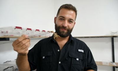 750 akrepten 4 ayda 4 bin yavru elde etti