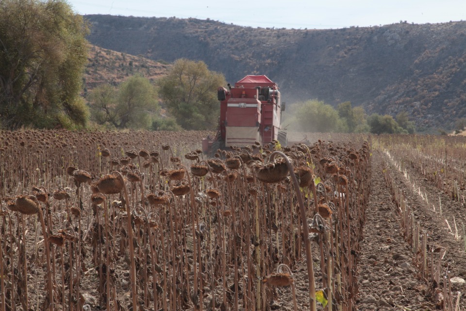 110640_wuciwug_99ea2890_bu-topraklar-ke.jpeg
