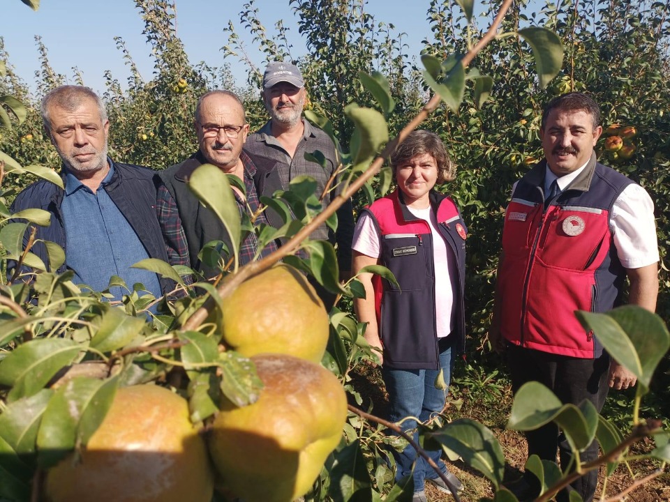 110873_wuciwug_ba9ab531_biga-da-armut-h.jpeg