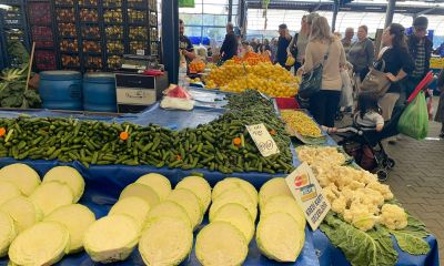 Turşu kurma telaşı başladı