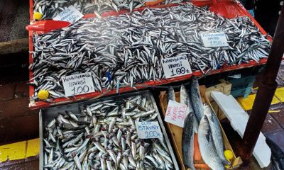 Çanakkale Cuma Pazarı’nda balık tezgahlarına yoğun ilgi