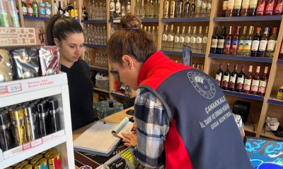 Çanakkale’de güvenilir gıda için denetimler aralıksız sürüyor