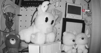 Japonya'da 6,7 büyüklüğünde deprem: Tsunami uyarısı yapıldı