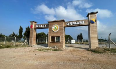 Çanakkaleliler, Millet Ormanı’na kavuşacakları günü bekliyor