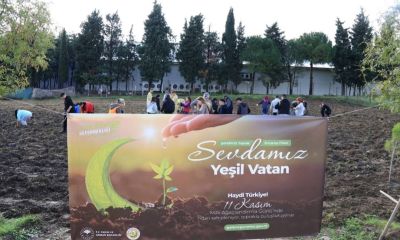 Gelibolu Kaymakamı Cihat Koç, 11 Kasım Milli Ağaçlandırma Günü Etkinliğine Katıldı