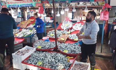 Cuma Pazarında balık fiyatları nasıl?
