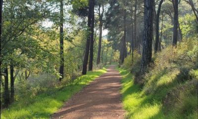Çanakkale’nin bilinmeyen yüzü – Çağlayanların büyüsü