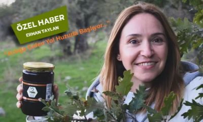 “Bu Bal Tatlı Değil, Karakterli”  Kazdağları’nın siyah altını meşe balı