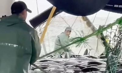 Çanakkale'de av sezonu bereketli geçiyor