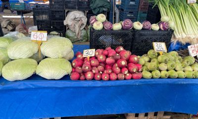 Çanakkale Salı Pazarı’nda bu hafta fiyatlar nasıl?