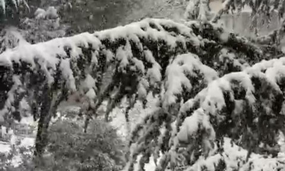 Bir Çanakkale klasiği: Karın keyfi başkasında, soğuğu bizde