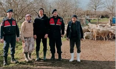 Biga’da kayıp hayvanlar jandarma ve grone desteğiyle bulundu