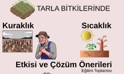 Çanakkale’de çiftçilere kuraklık ve sıcaklık eğitimi