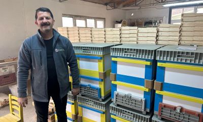 Futbolda rekabet arıcılara yansıdı; renkli kovanlar revaçta