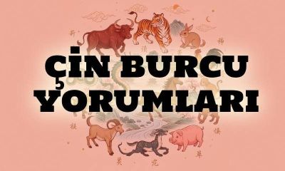 31 Ocak Çin Burcu Yorumları: Yeni Ay Etkisiyle Denge ve Fırsatlar Ön Planda
