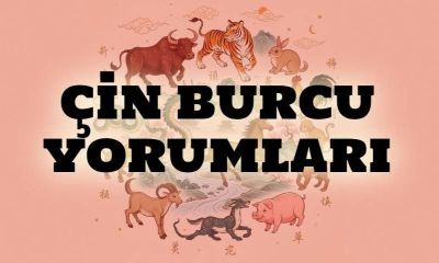 8 Şubat 2026 Pazar – Çin Burcu Günlük Yorumları