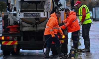 Çanakkale’de mazgallar mercek altında