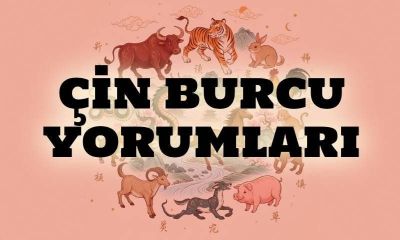 09 Şubat Pazartesi Çin Burcu Yorumları