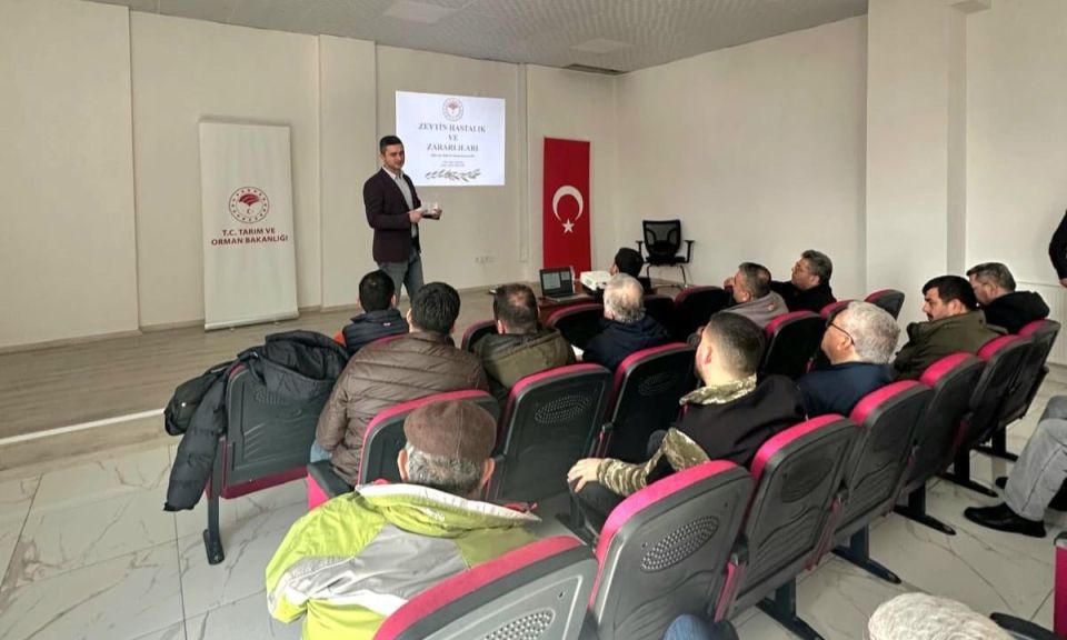 Geyikli’de Zeytin Üreticilerine Hastalık, Zararlı ve Budama Eğitimi Verildi