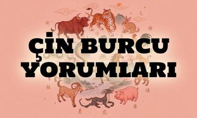13 Şubat Çin Falı: Bugün Hangi Burç Şanslı, Kimler Dikkatli Olmalı?