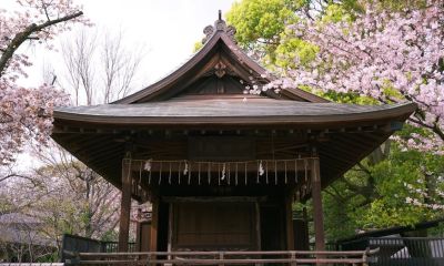 2026’da Sadece Pasaportla Gidebileceğiniz En Şaşırtıcı 5 Ülke