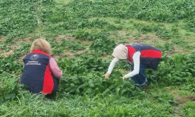 Sağlıklı üretim, güvenilir gıda için sahadayız!