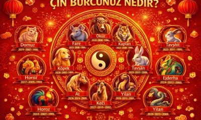 14 Şubat’ta Çin Burçlarını Aşk ve Şans Bekliyor