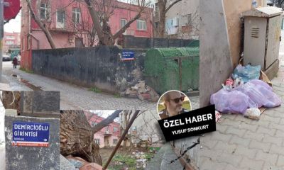 Bir Garip Sokak: Demircioğlu Girintisi