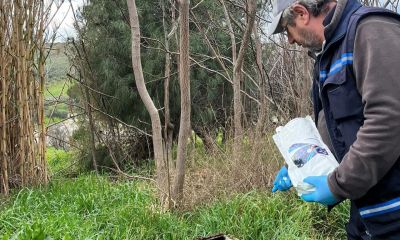 Bozcaada’da yağış sonrası sivrisinek alarmı: Belediye ekipleri sahada