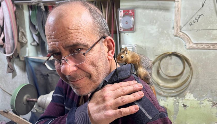 Ormanda bulduğu sincap en yakın dostu oldu