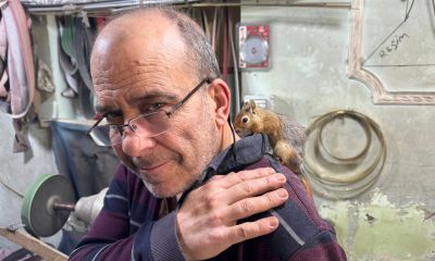 Ormanda bulduğu sincap en yakın dostu oldu