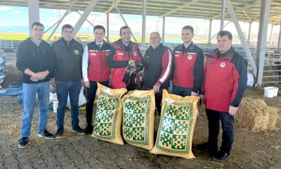 Ezine’de üreticiye Yem desteği!