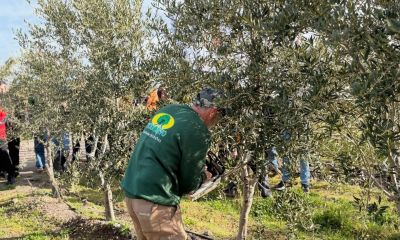 Uluslararası uzmanlardan çiftçiye eğitim!