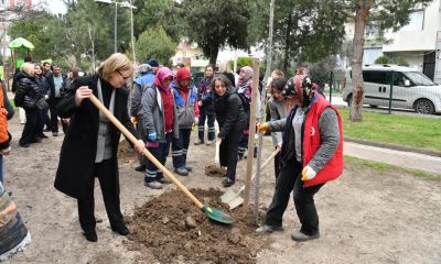 CHP Merkez İlçe Başkanlığı’ndan Kadınlar İçin Fidan Dikimi Etkinliği