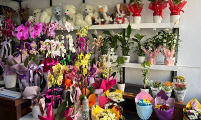 Buketlerde Papatya, Hediyede Orkide: Yenice’nin Çiçek Tercihleri