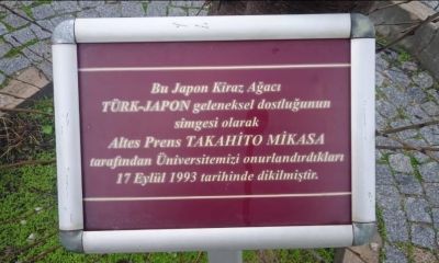 ÇOMÜ’de Türk-Japon Dostluğunu Yaşatacak “Sakura Yolu” Projesi Başlıyor