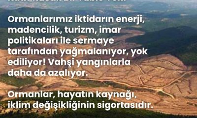 Ormanlar Alarm Veriyor: 21 Mart’ta Kutlama Değil Uyarı