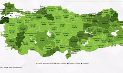 Cihan Fulser’den Dikkat Çeken Araştırma: “Yeşil Vatan” İçin Kritik Uyarılar