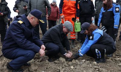 Çanakkale'de 5 bin fidan toprakla buluştu
