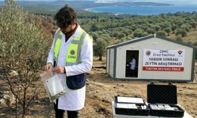 ÇOMÜ’den yangın sonrası tarıma bilimsel dokunuş