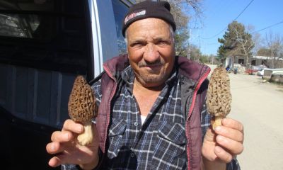 Kuzugöbeği dağ köylülerinin gelir kapısı oldu