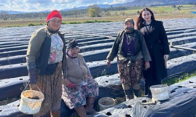 Başkan Çelik: “Her fide umut demek”