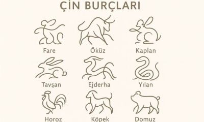 13 Nisan 2026 Pazartesi Çin Burcu Yorumları