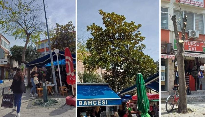 Kemalpaşa Mahallesinde ağaçlar budandı, vatandaştan tepki geldi