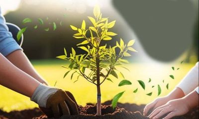 ÇOMÜ’den Doğaya Büyük Davet: “Geleceğe Nefes, Çanakkale’ye Hayat” Etkinliği