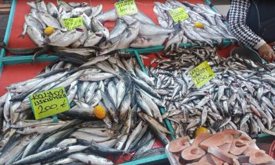 Kimi 100 Liralık Sardalyeye, Kimi 500 Liralık Levreğe Yöneldi