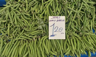 Çanakkale Pazarında bahar bereketi: Taze bakla tezgahlarda, sofralarda yerini aldı