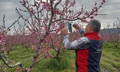 Kahverengi Kokarca ile mücadelede 15 noktada takip başladı