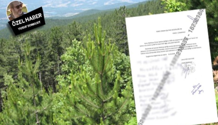 Yenice Davutköy’de Ağaç Kesimi Tartışması