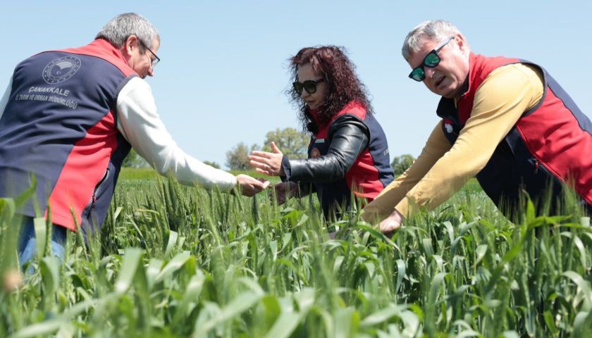 Çanakkale’de tarım arazileri mercek altında